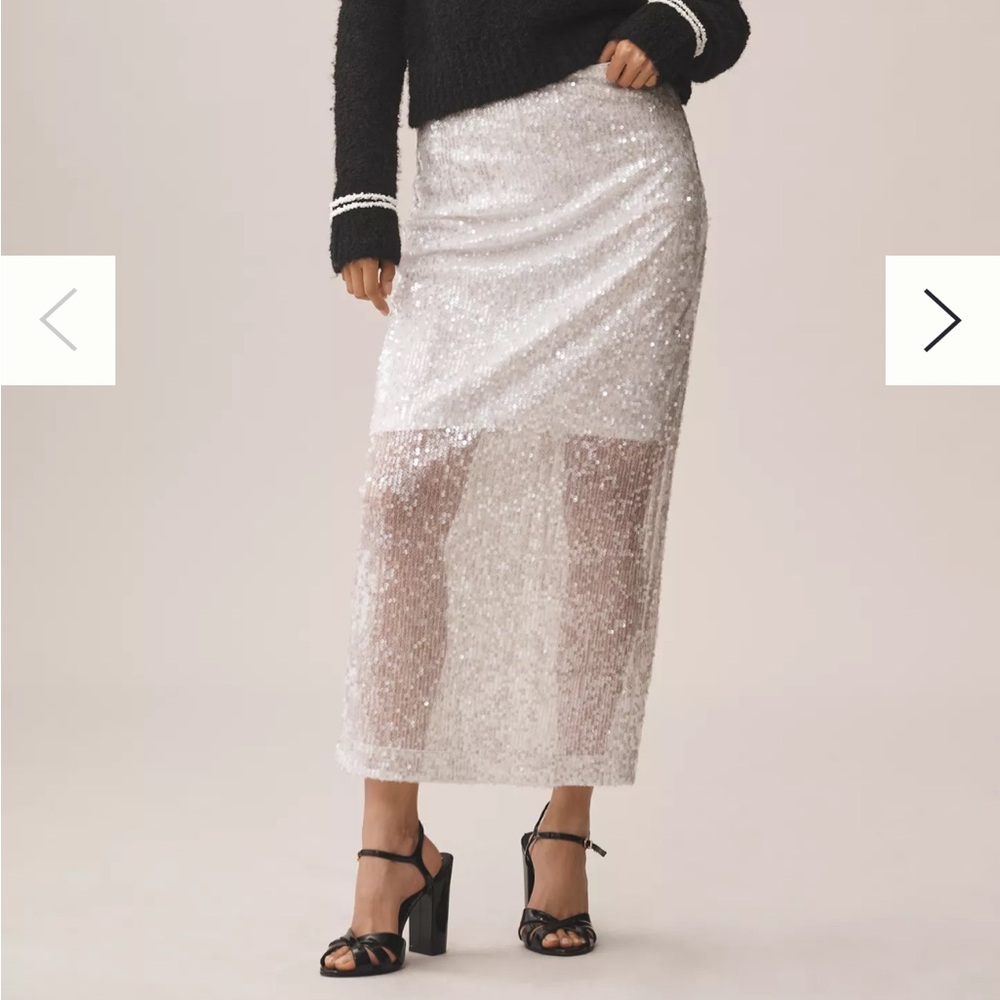 NWT Sheer Silver Sequin Midi Skirt